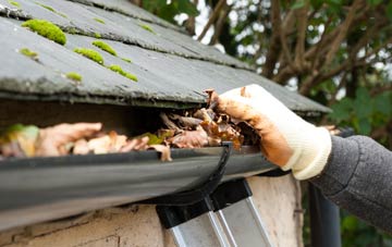 gutter cleaning Priestside, Dumfries And Galloway